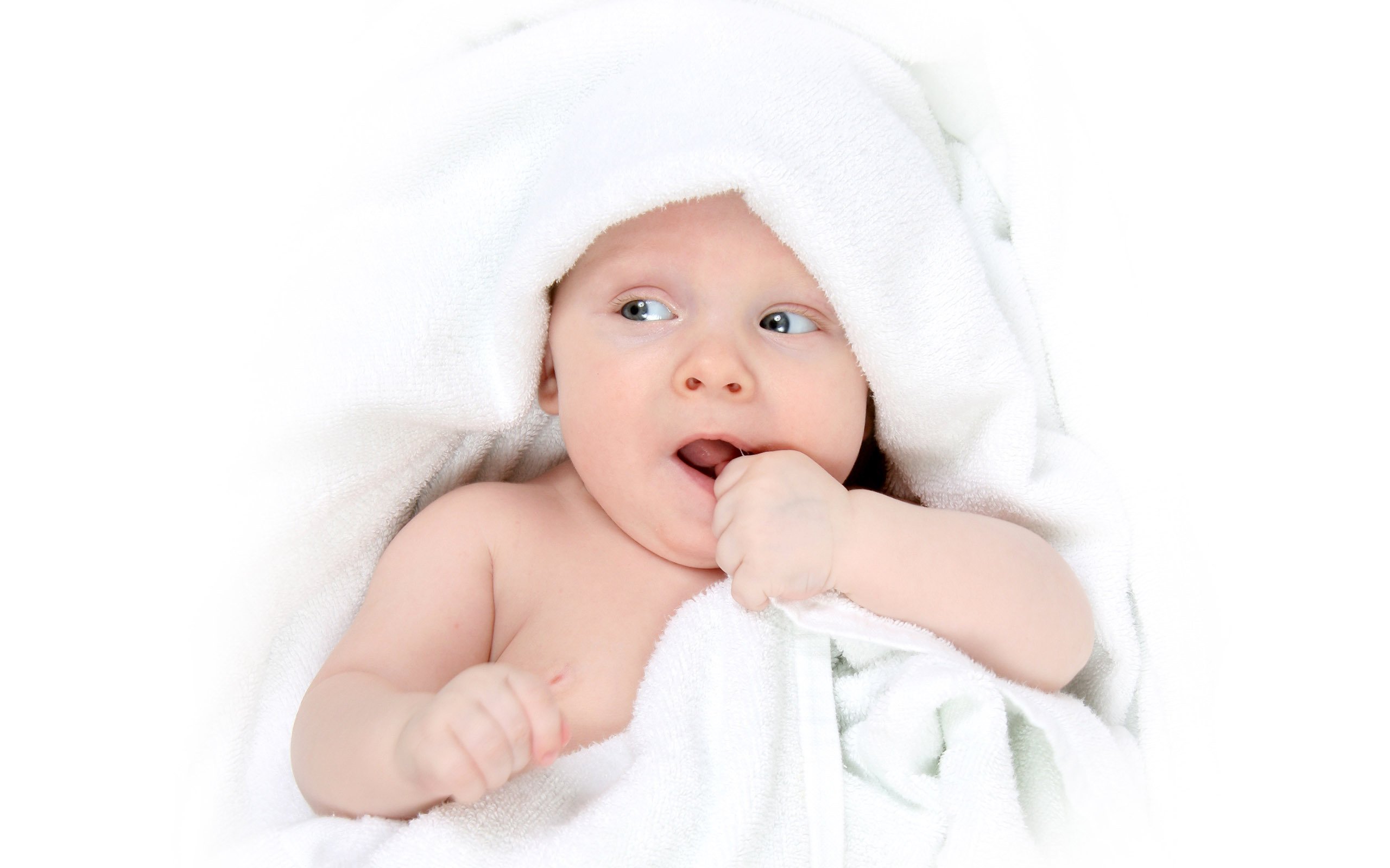 青岛供卵联系方式卵巢早衰做试管婴儿成功率